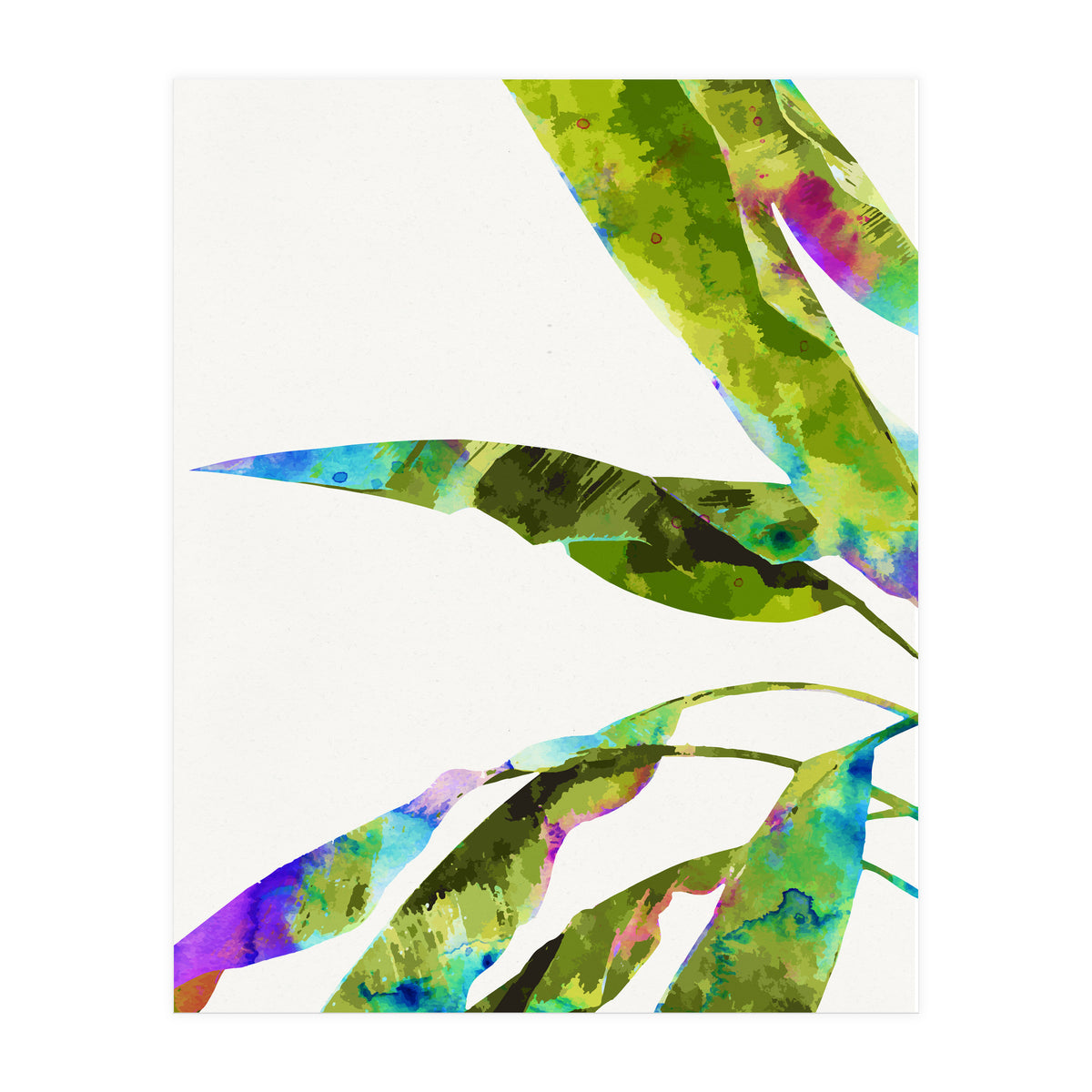 Banana Leaves Holi (Print Only)