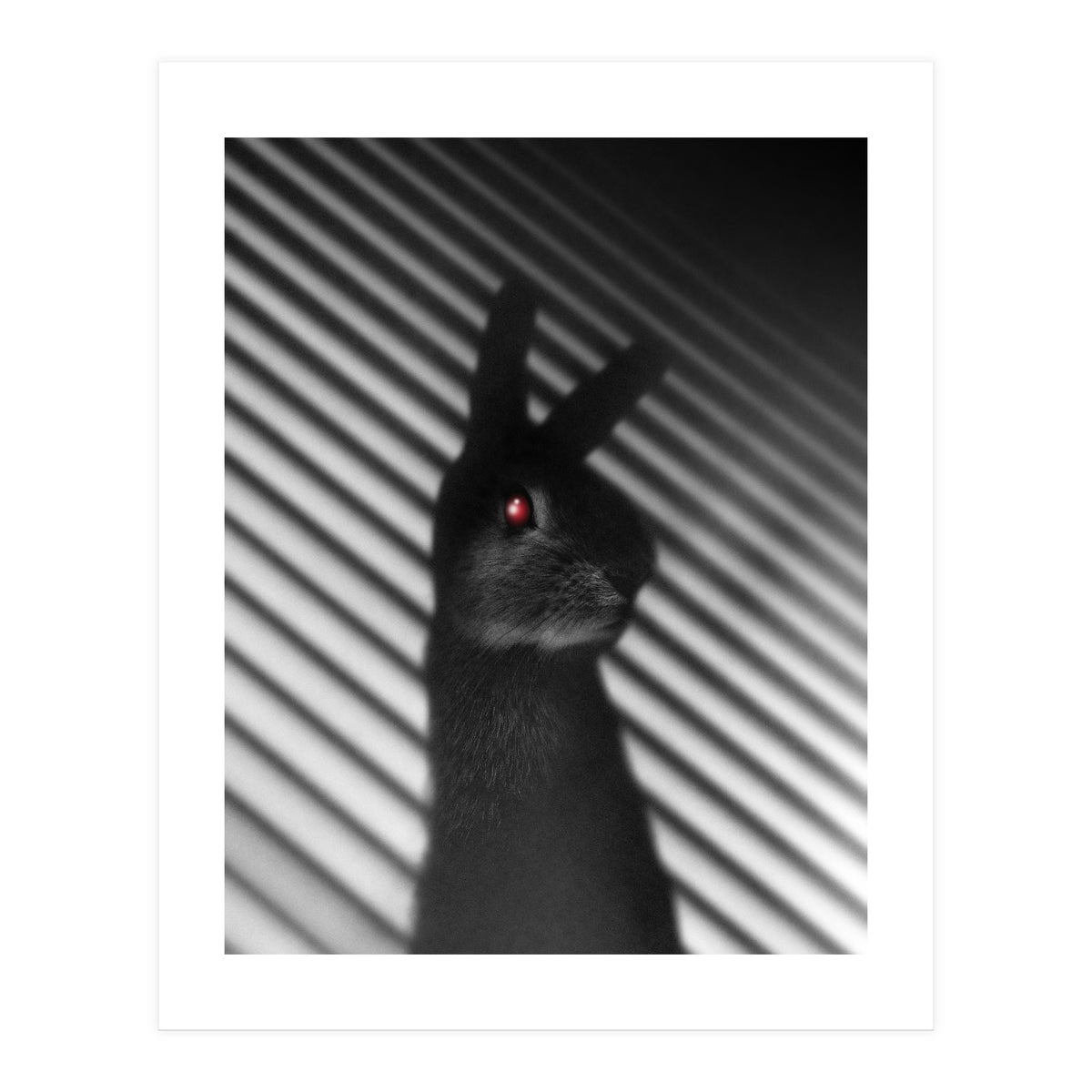 Shadow Bunny (Print Only)
