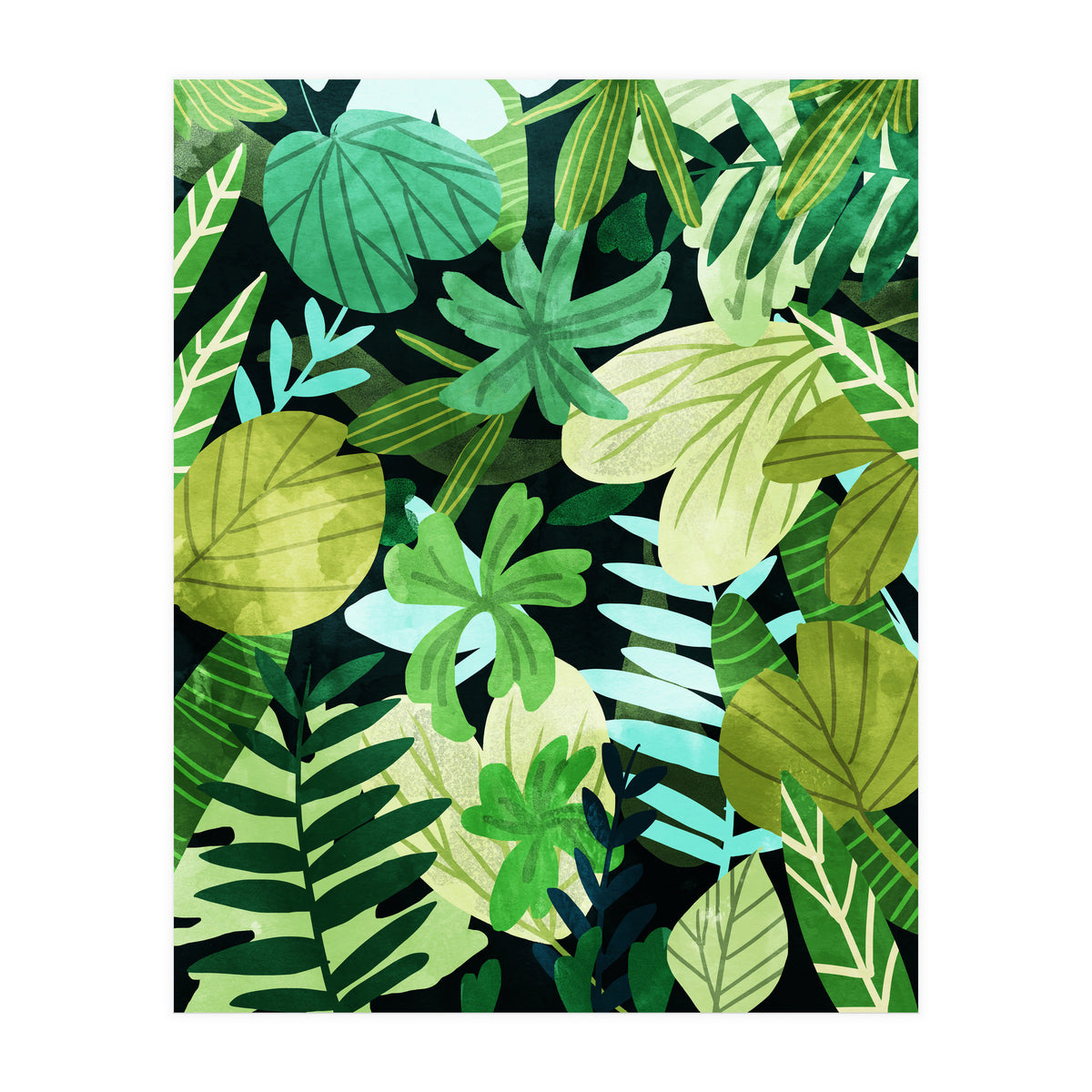 Rainforest Ii (Print Only)