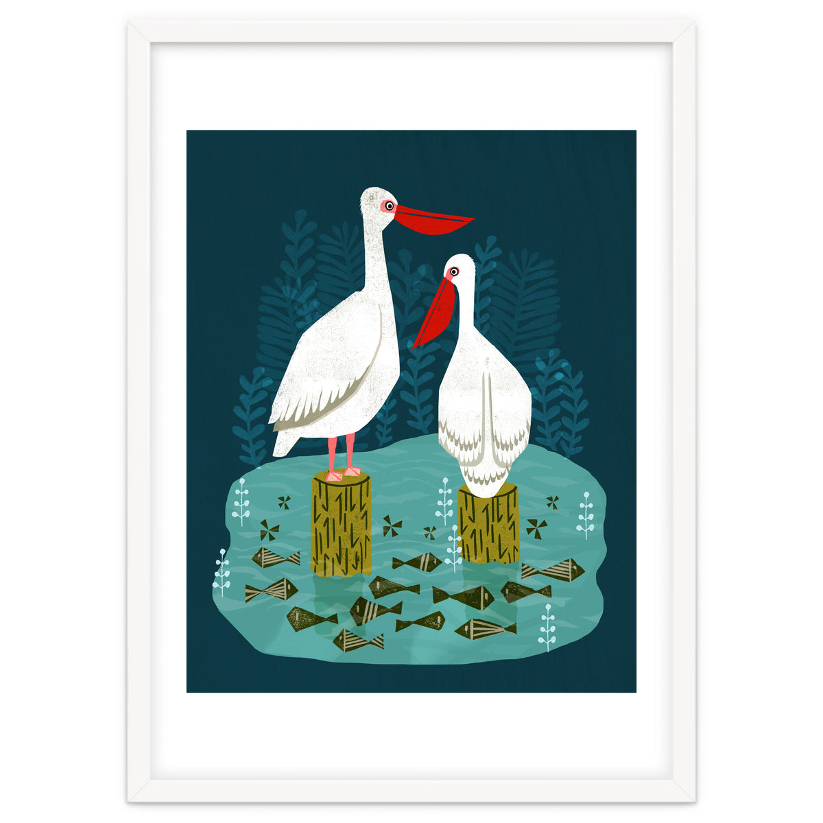 Pelicans