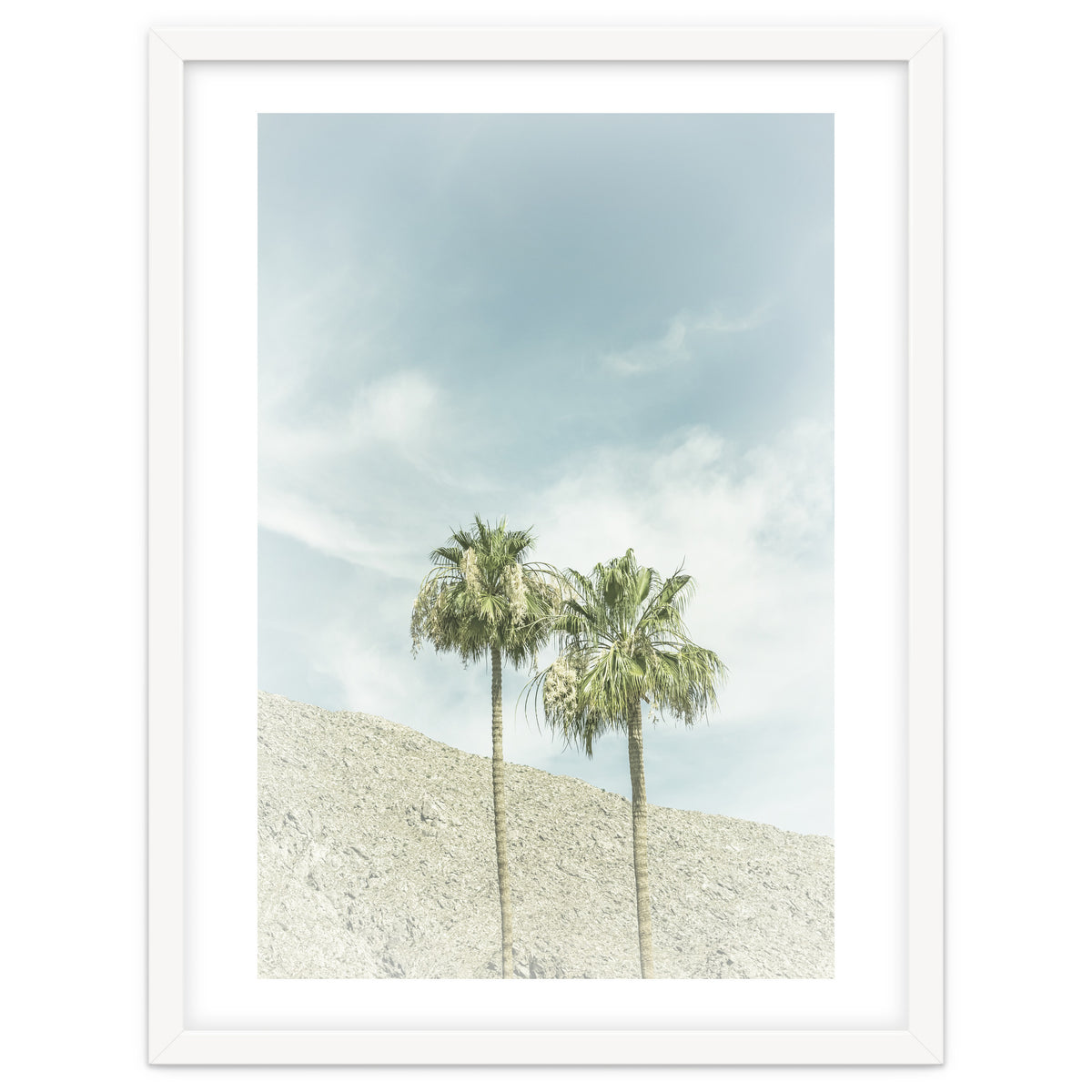 Palm Trees in the desert | Vintage