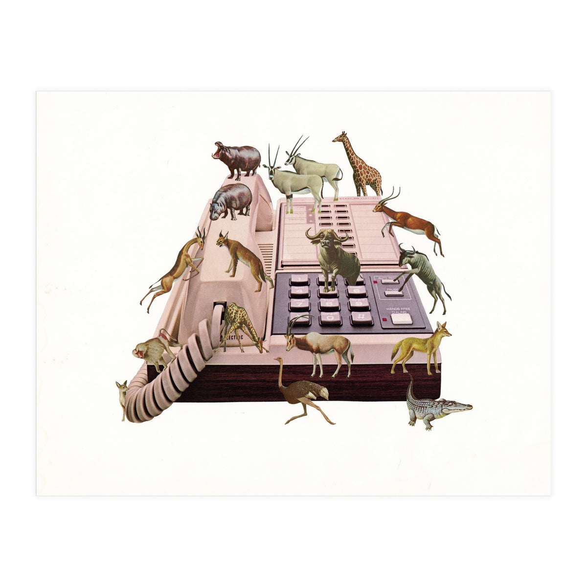 Wild Office (Print Only)