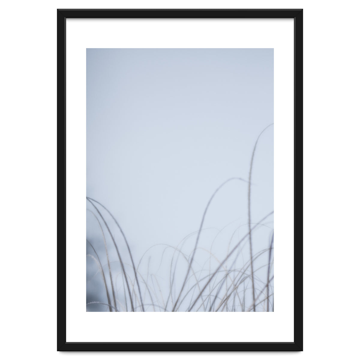 Forgotten Memories of Summer #20