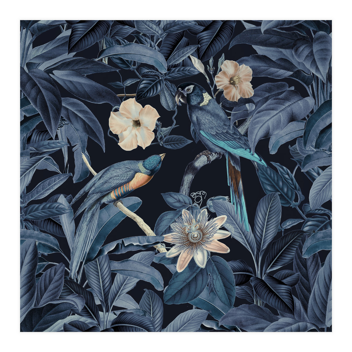 Exotic Jungle Birds At Night (Print Only)