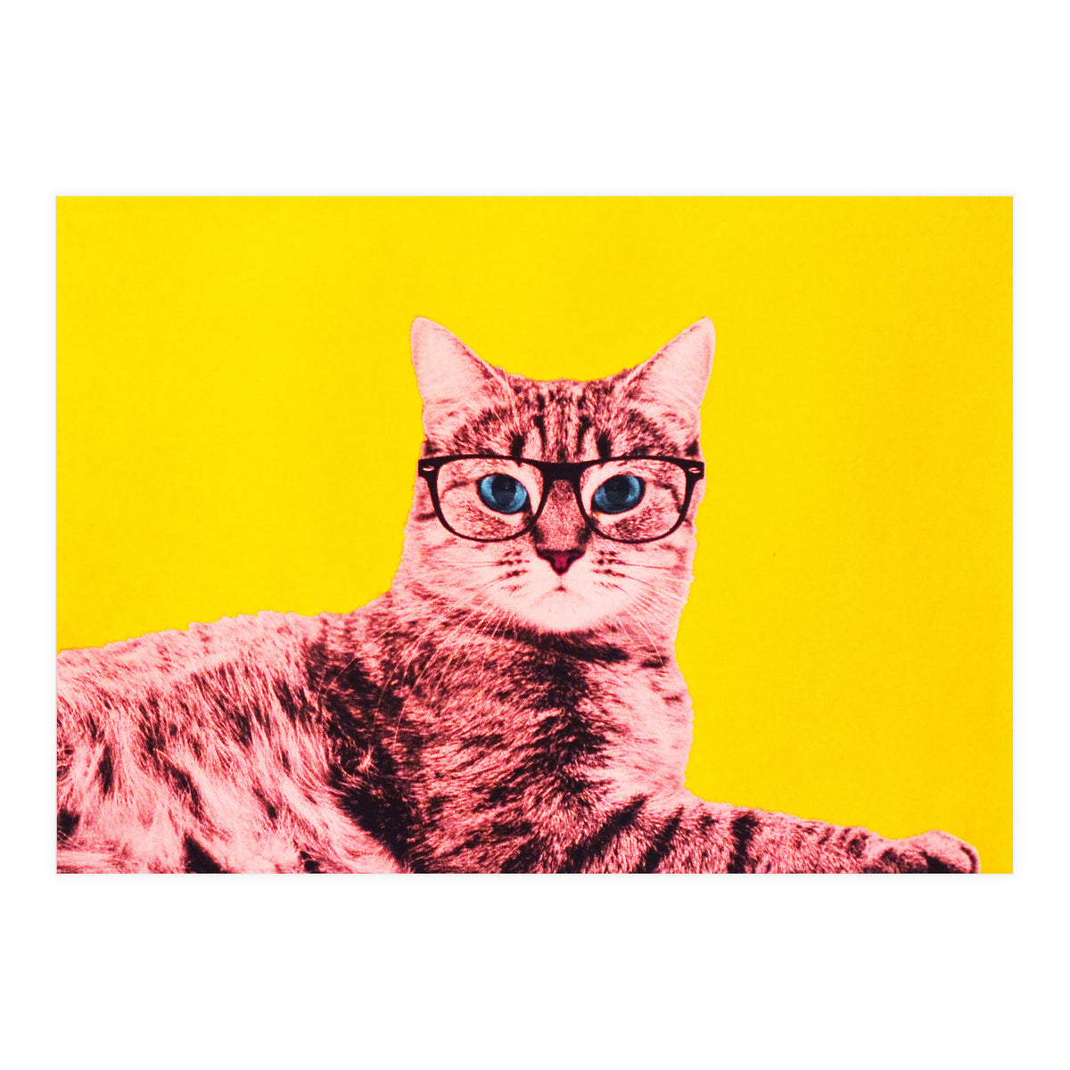 Life In Technicolor (Print Only)