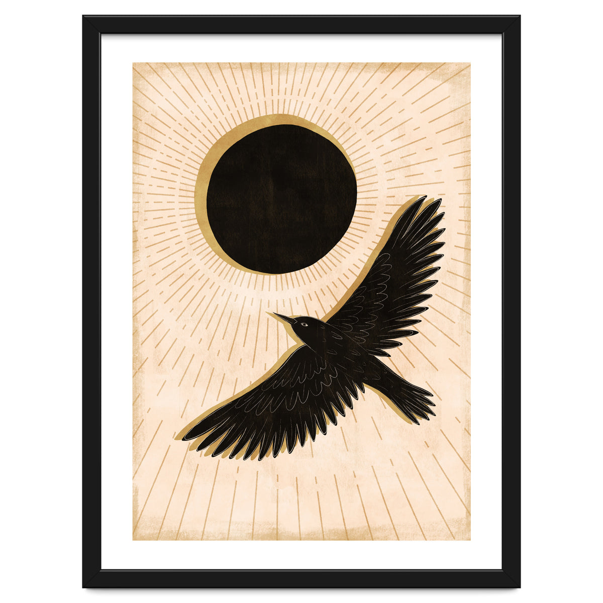 Raven And A Black Sun