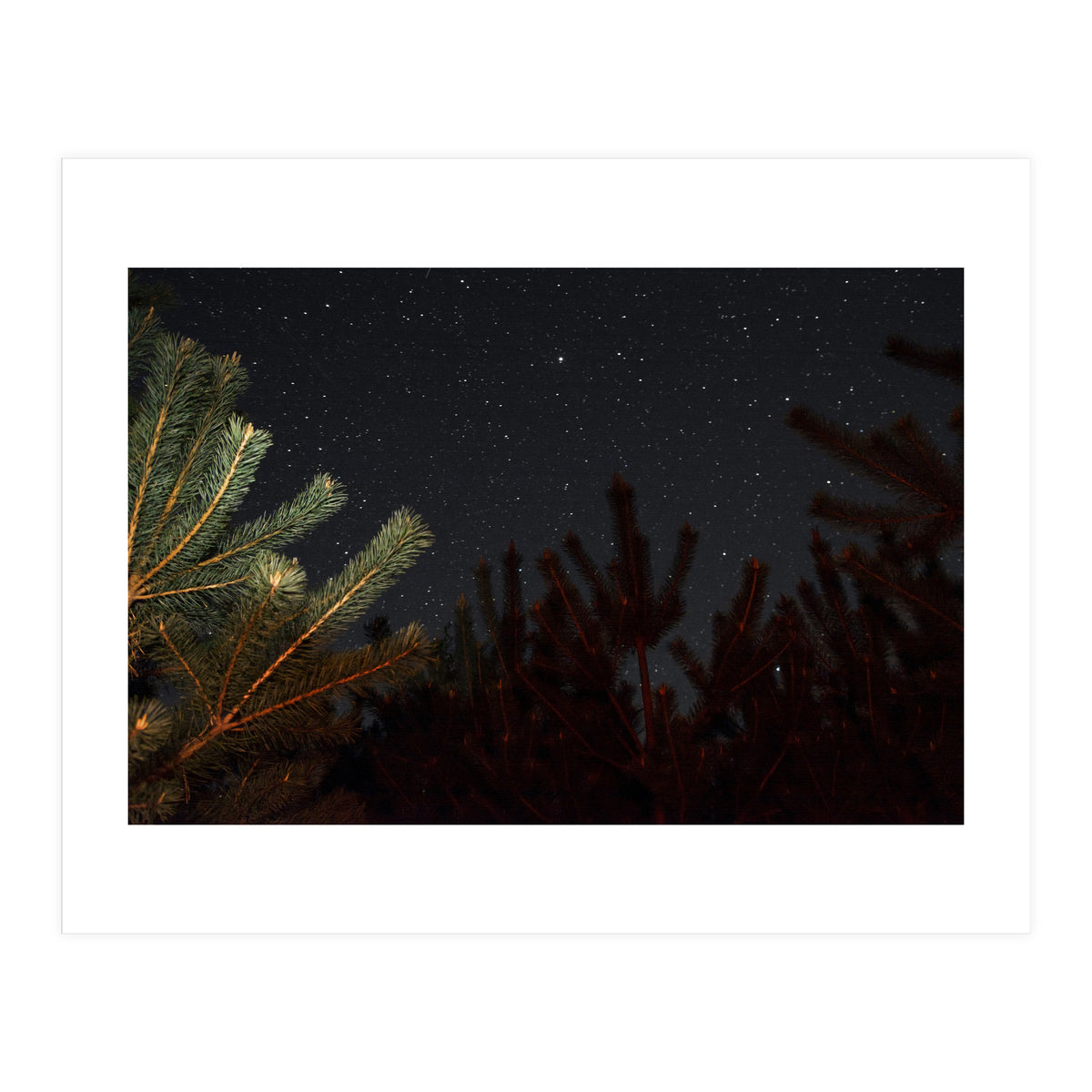 Sputnik Turntables (Print Only)