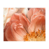 Coral Charm #1 (Print Only) thumbnail