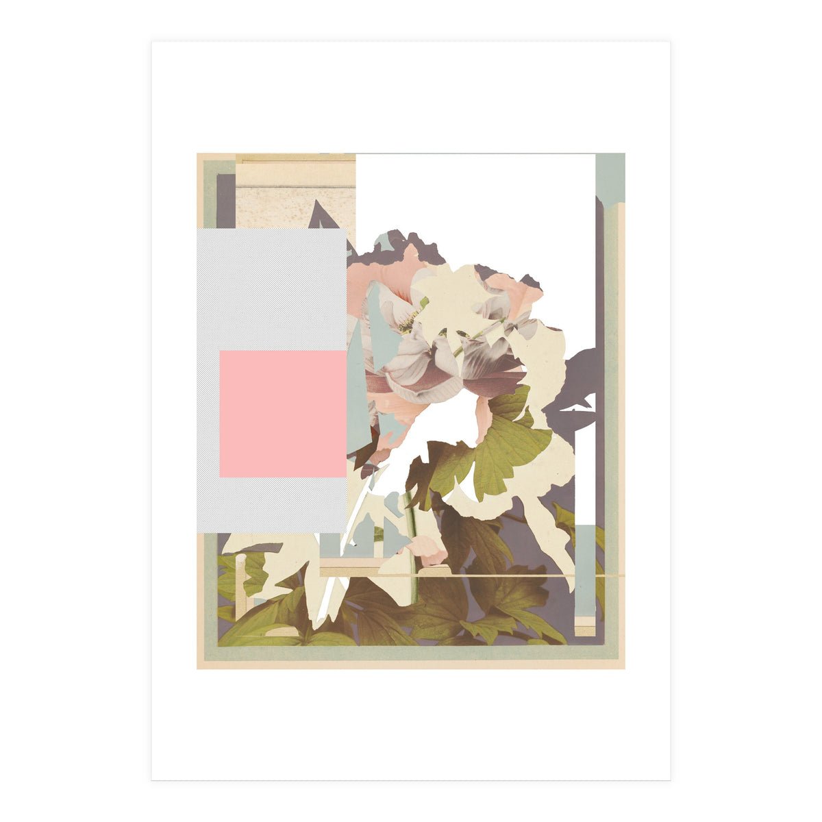 The First Plant · F (Print Only)