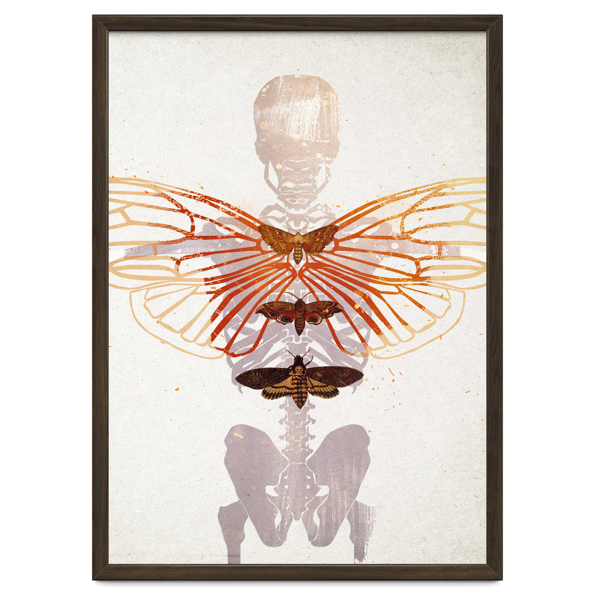 Ikarus - Like a Moth to the Flame