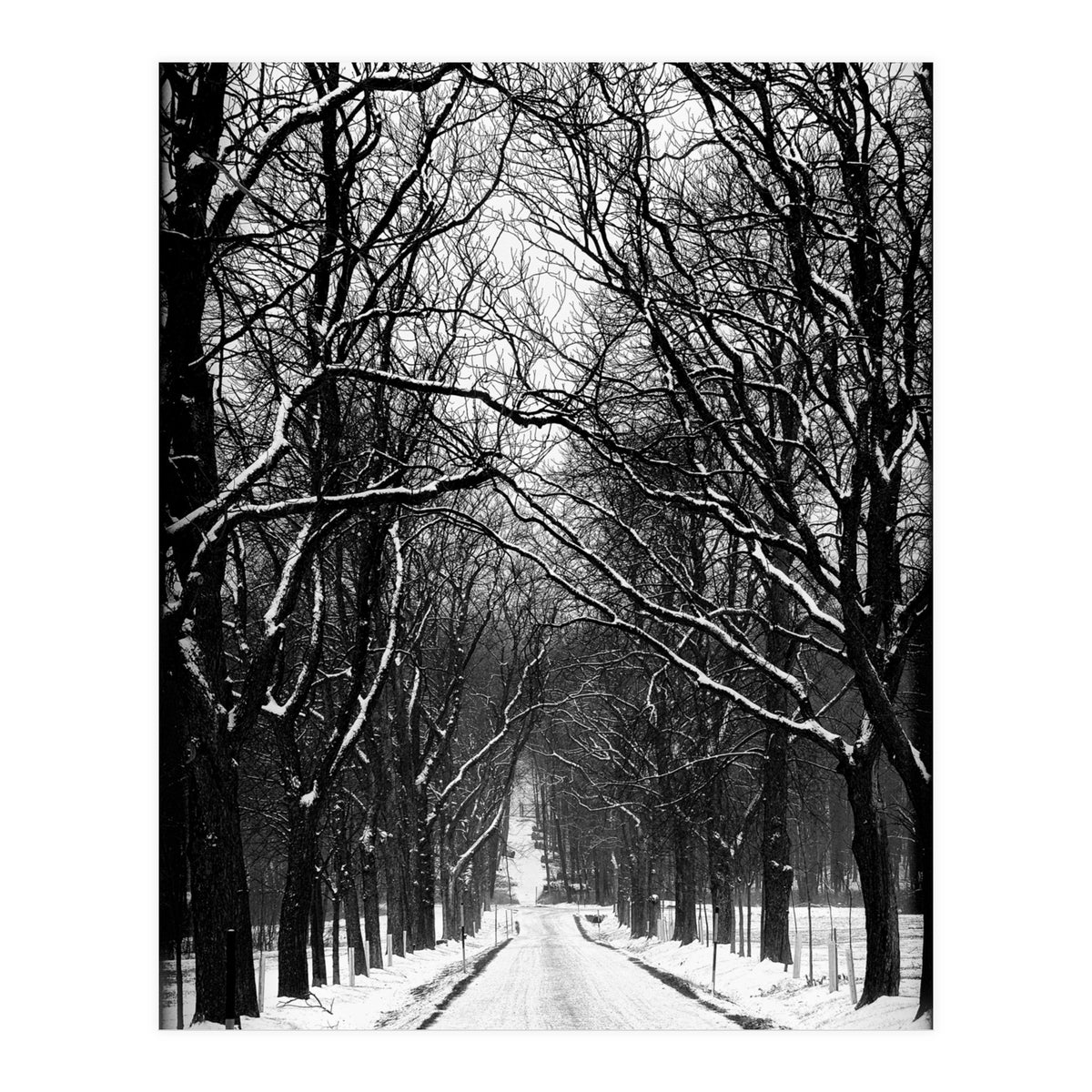 Winterly alley (Print Only)