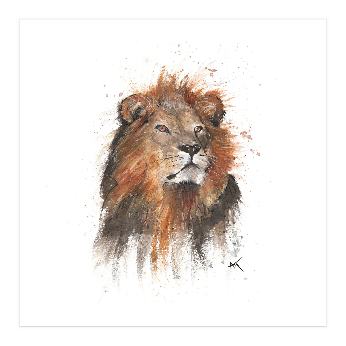 Lion - Wildlife Collection (Print Only)