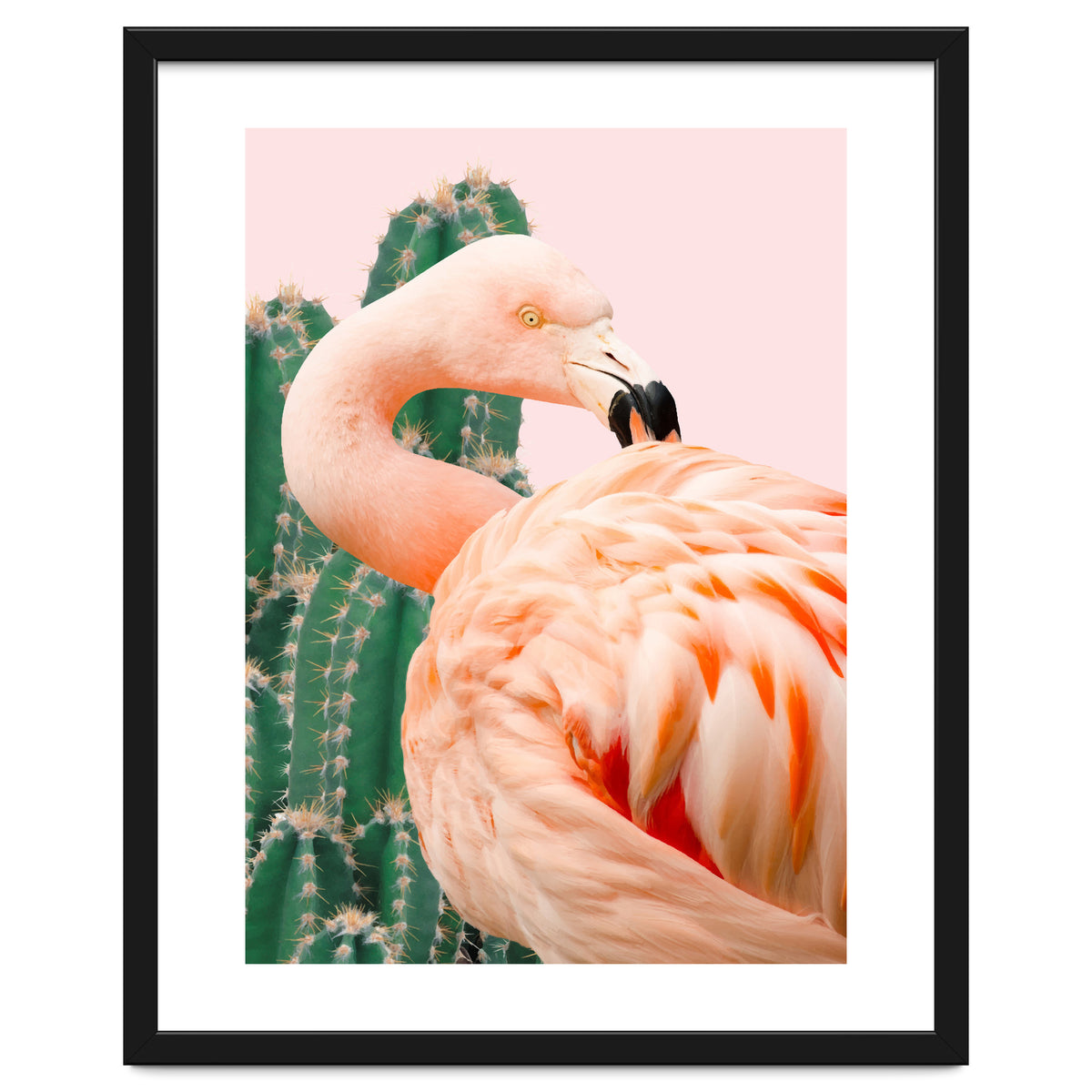 Flamingo & Cactus