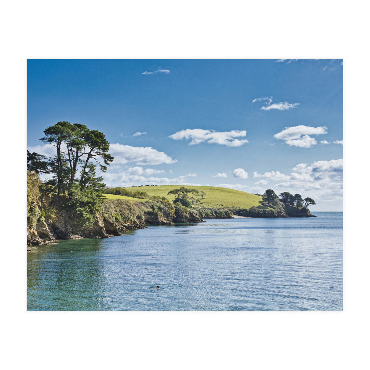 Estuary (Print Only)