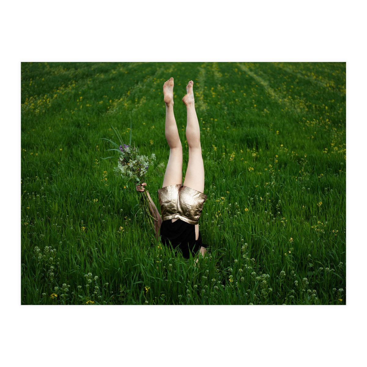 Gravity (Print Only)