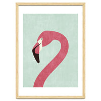 FAUNA / Flamingo