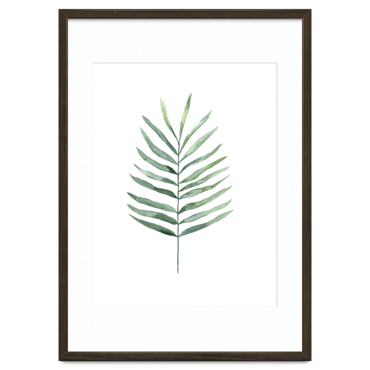Botanical Illustration Fern