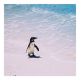 Beach (Print Only) thumbnail