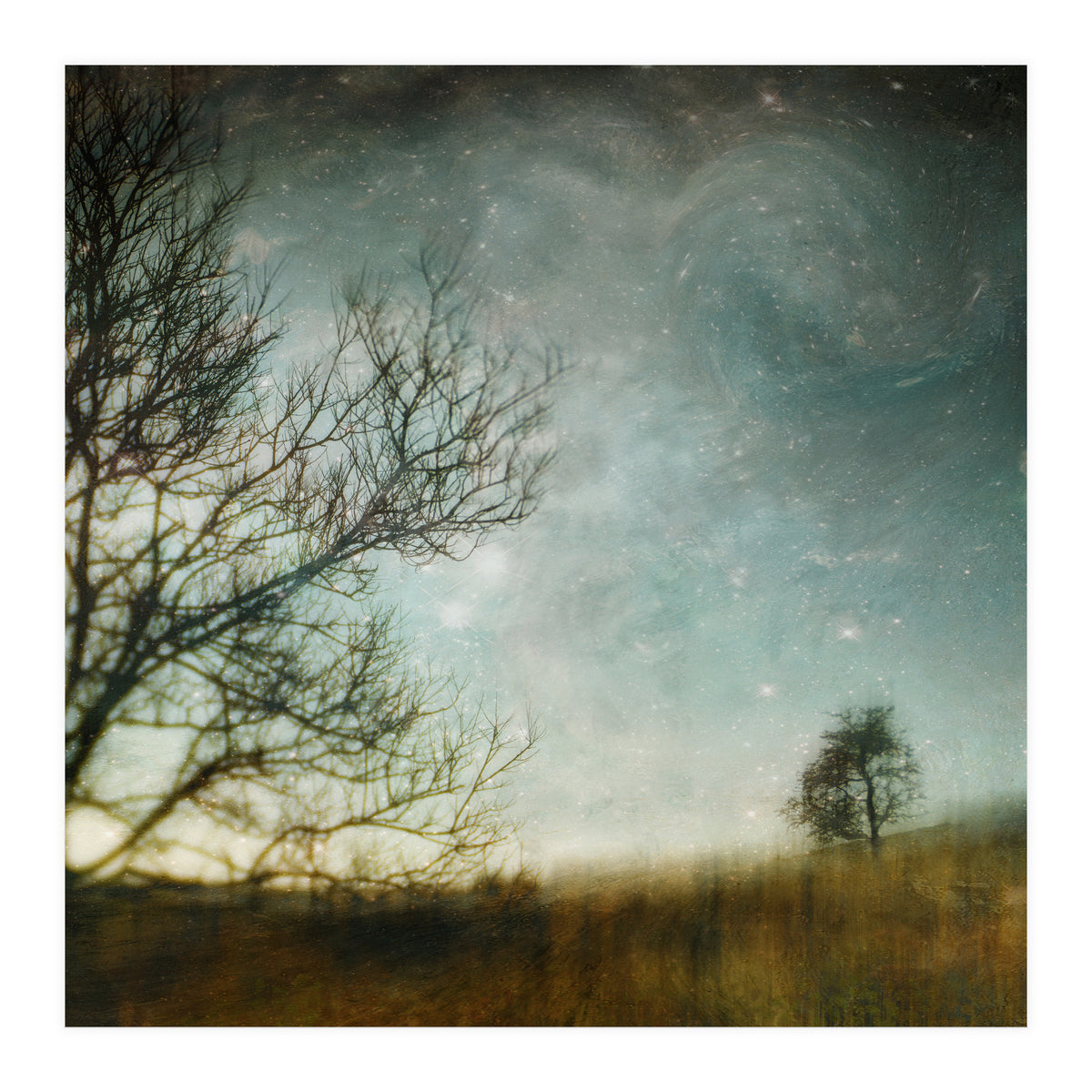 The Tree That Whispered (Print Only)