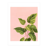 Tropical Rising (Print Only) thumbnail