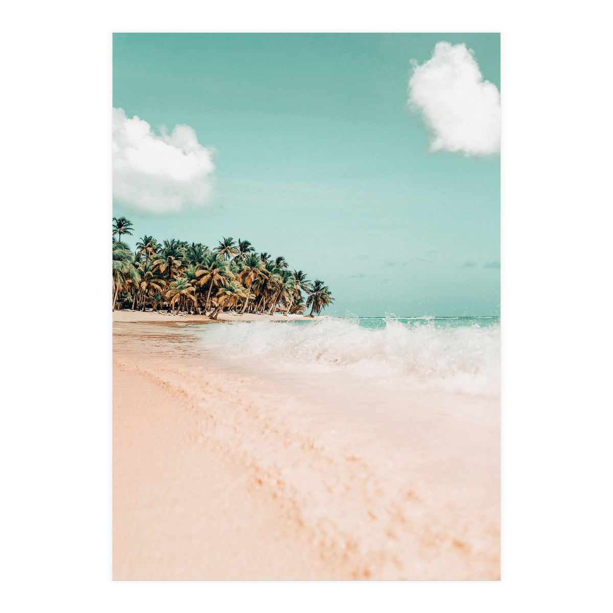 Palm Island (Print Only)