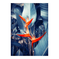 Parakeet Tropical Flower (Print Only)