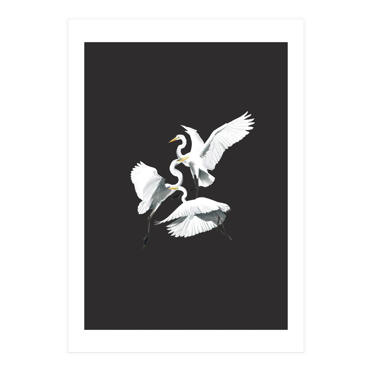 Three Heron Waltz (Print Only)