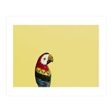 Parrot (Print Only) thumbnail