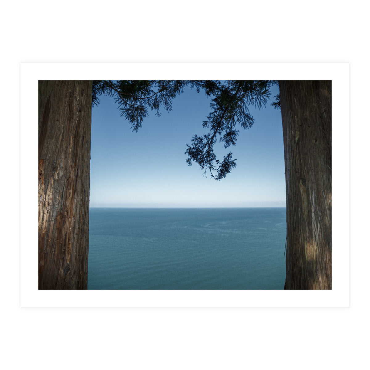 Picture Postcard Perfect (Print Only)