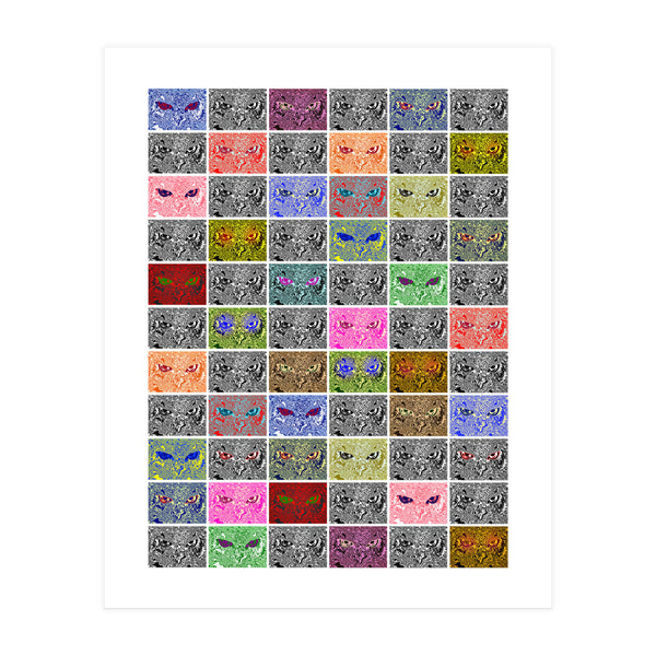 Faces of an owl (Print Only)