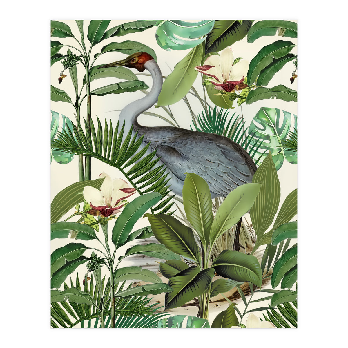 Tropical Heron (Print Only)