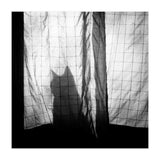 Mr. Wallace (Print Only) thumbnail