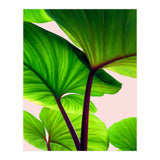 Charming Sequence (Print Only) thumbnail
