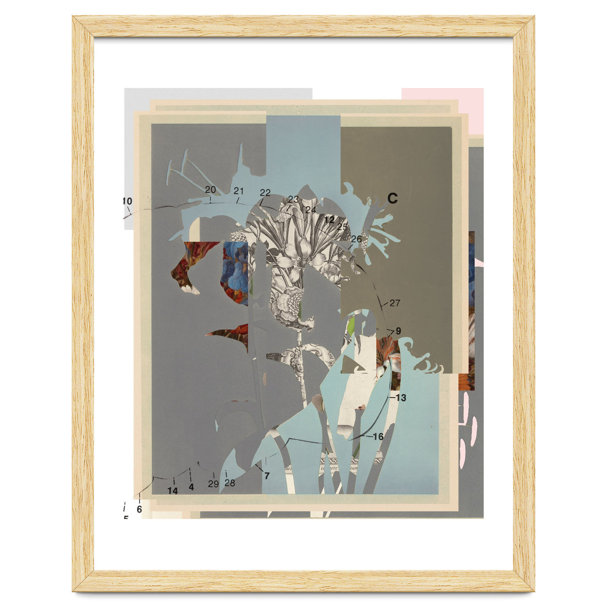 The First Plant · D