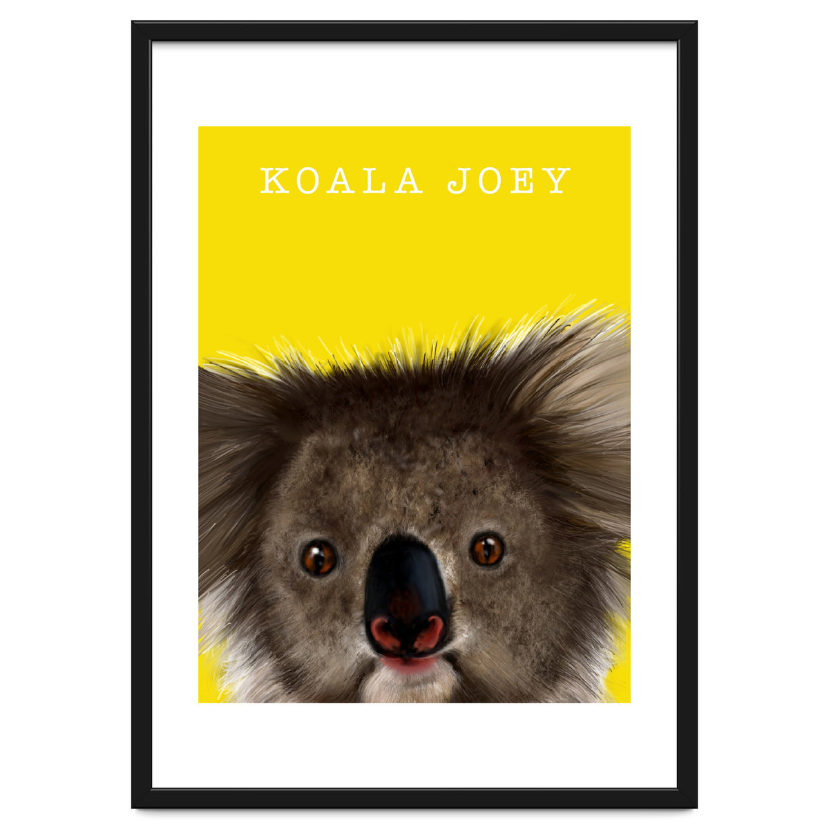 Koala Joey