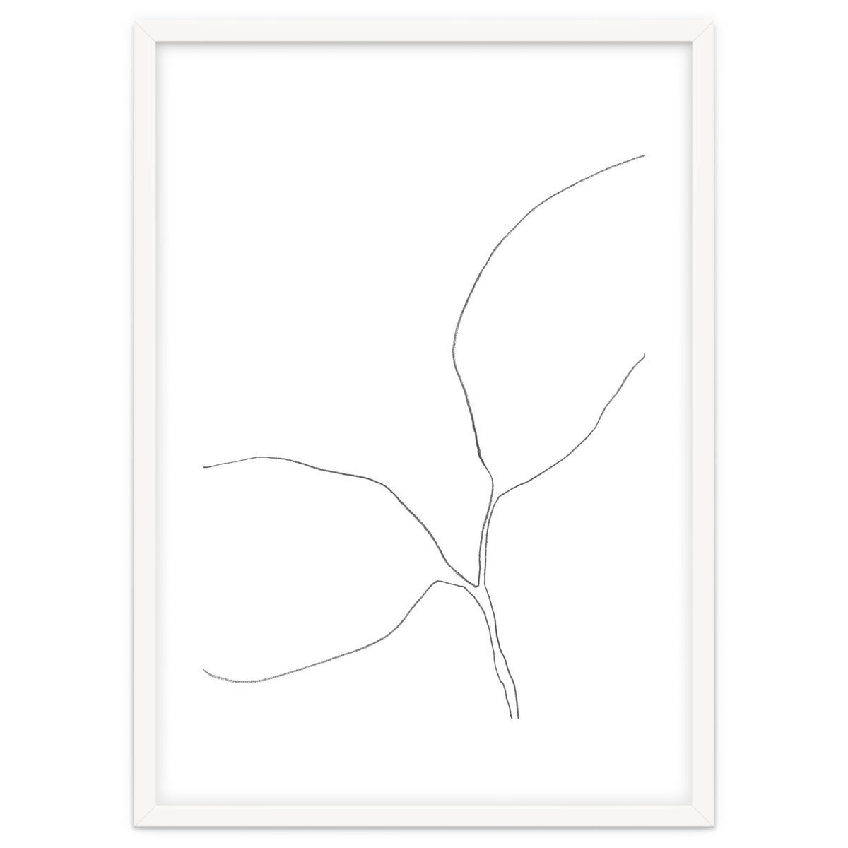 Seedling Leaning Left