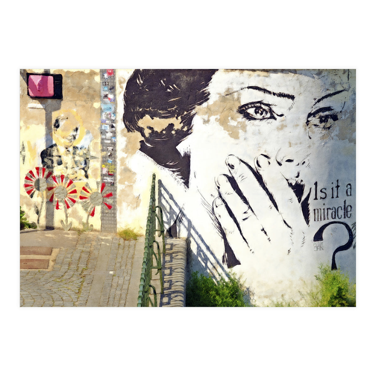 Beauty of decay (Print Only)