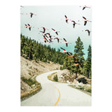 Flamingo Flight (Print Only) thumbnail