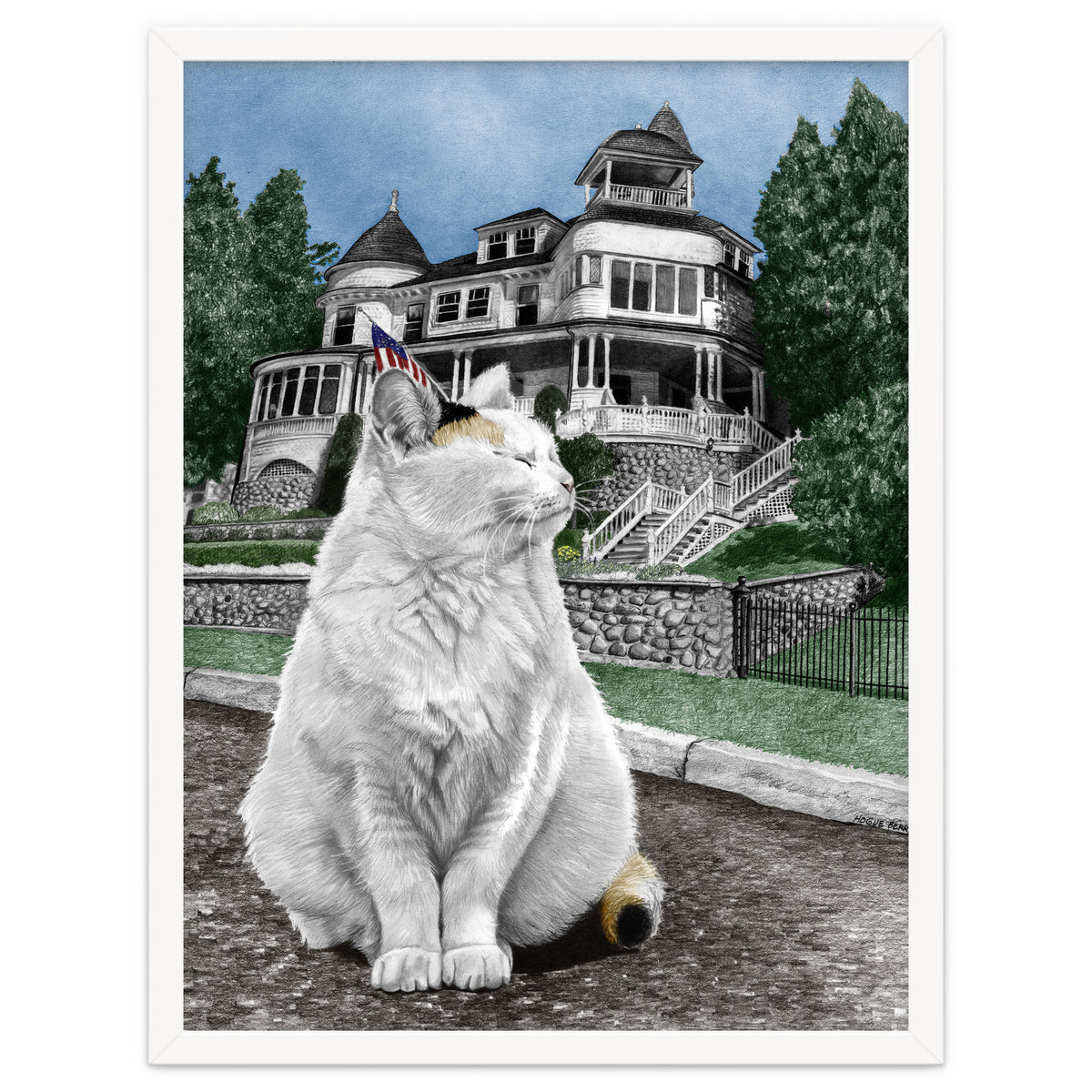 Mackinac Island Cat