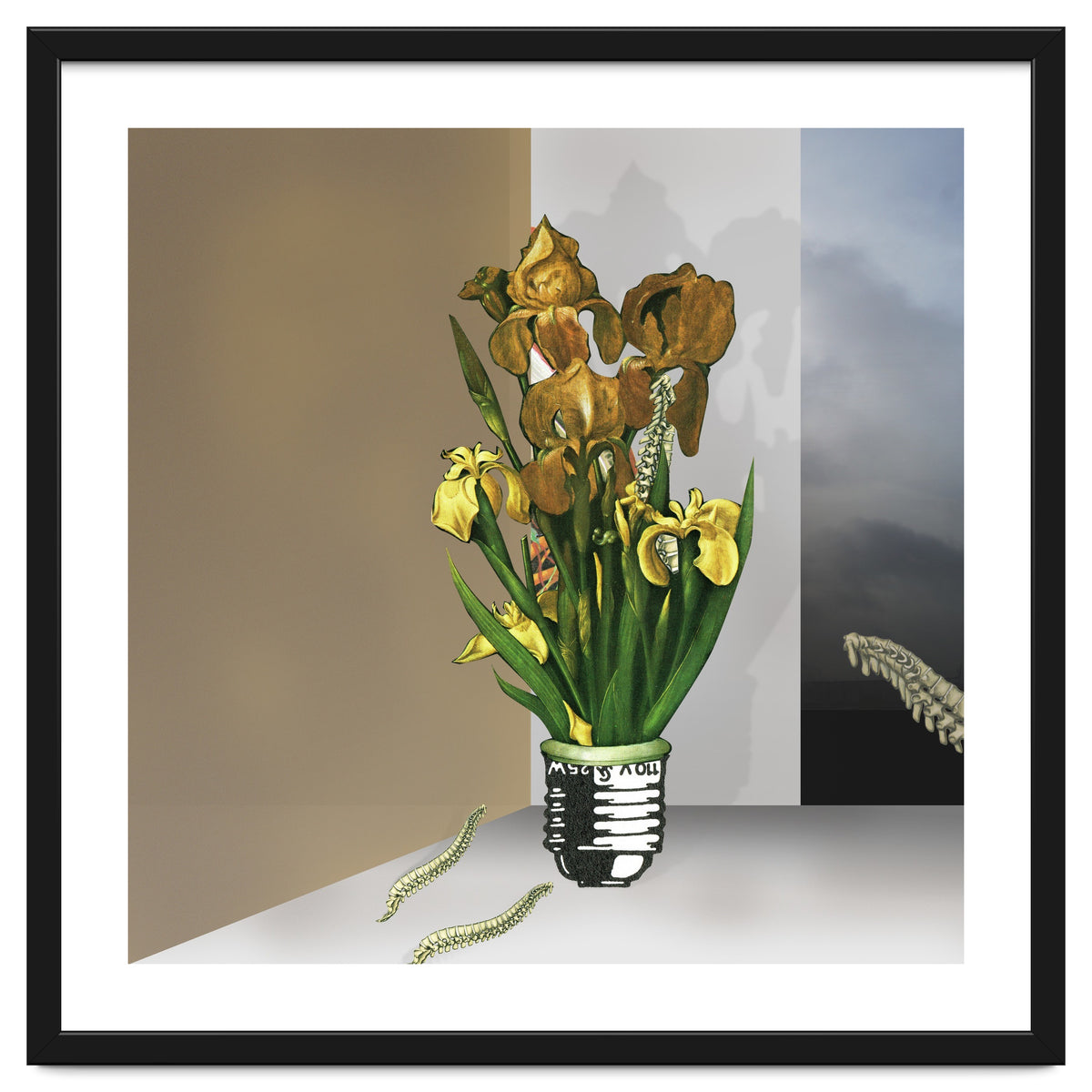 Das Licht Der Pflanze