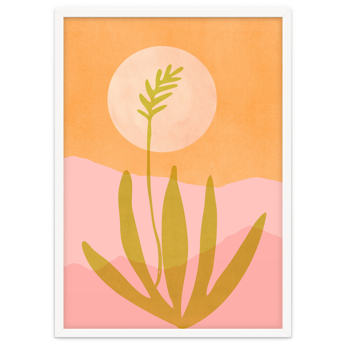 Desert Moon With Agave
