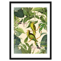 Green Jungle Parakeets