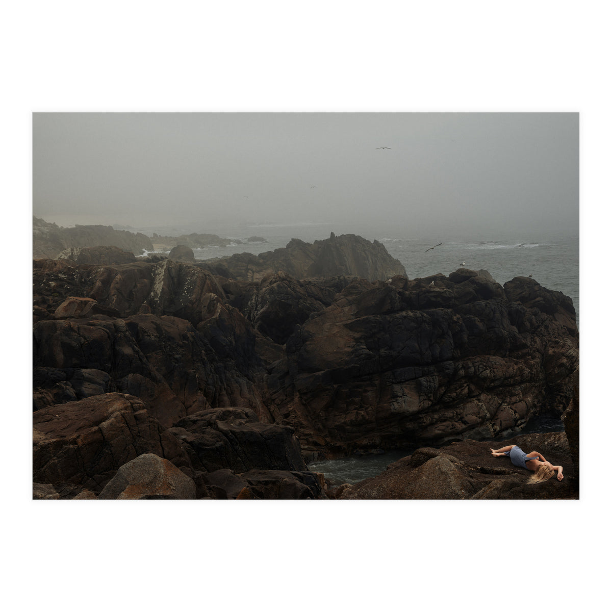 Seagull Bay (Print Only)