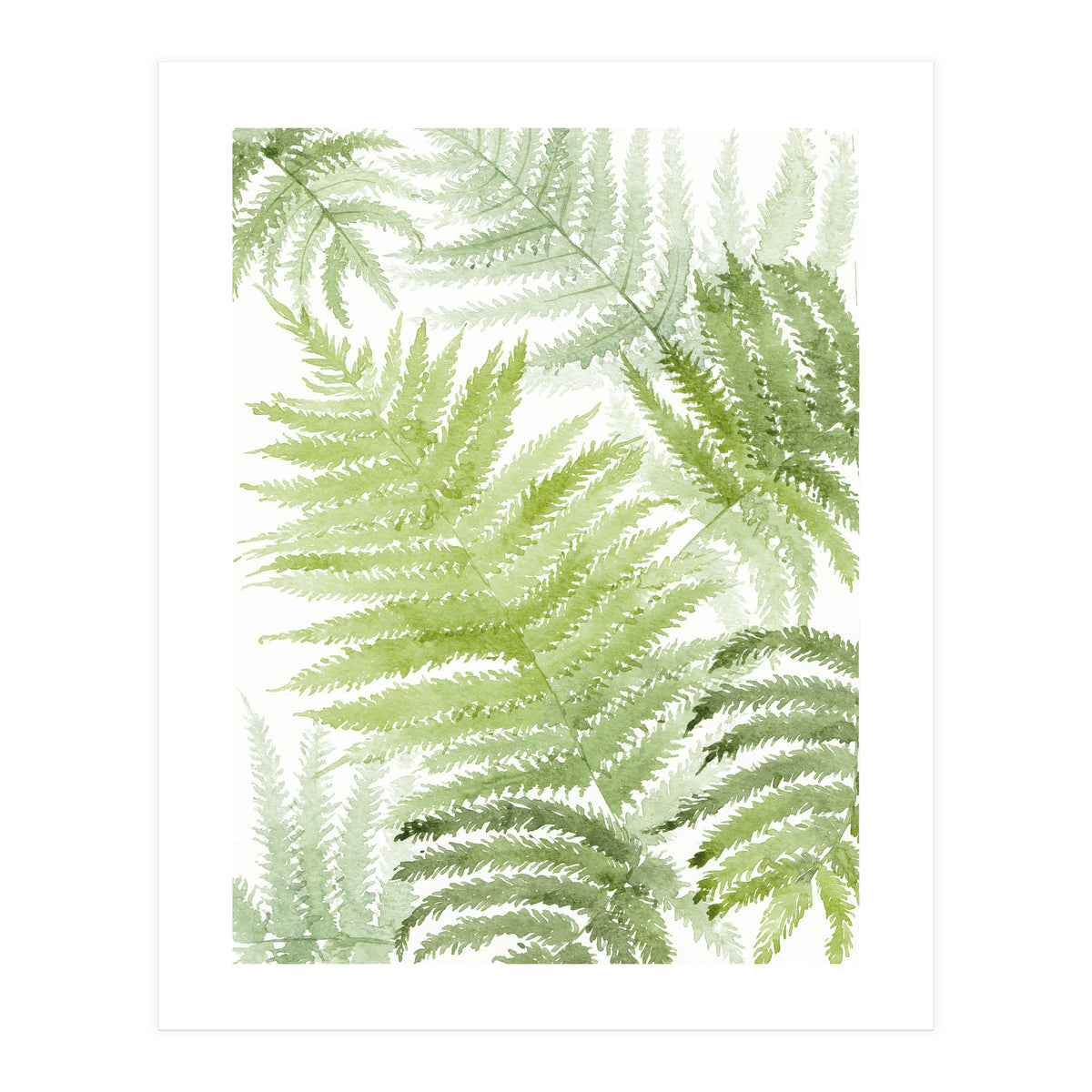 Samambaia  (Print Only)