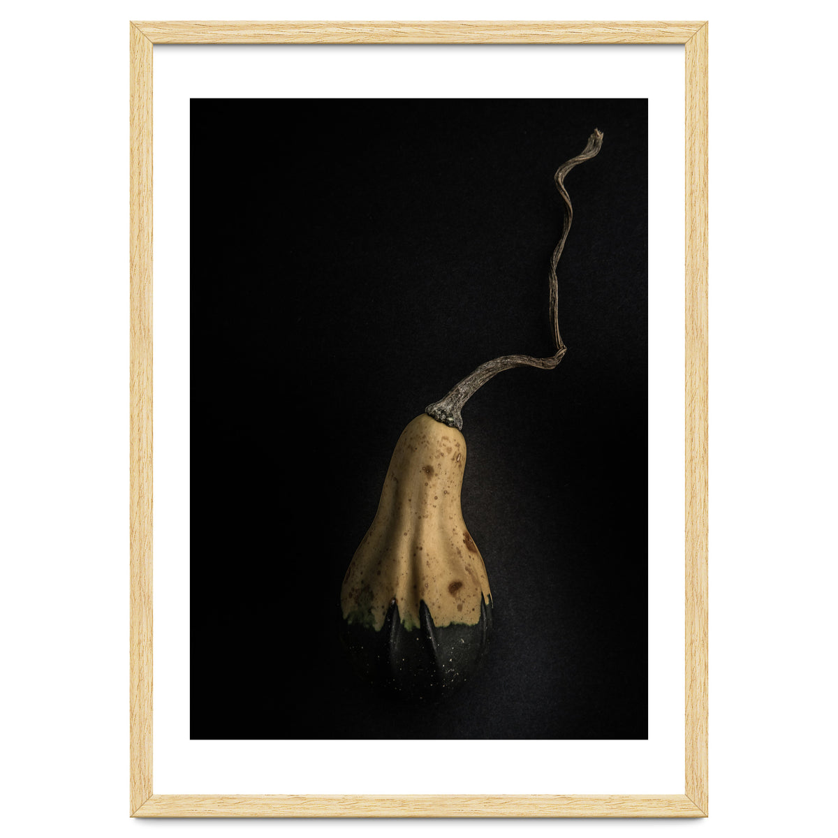 Gourds No 12 Color Version