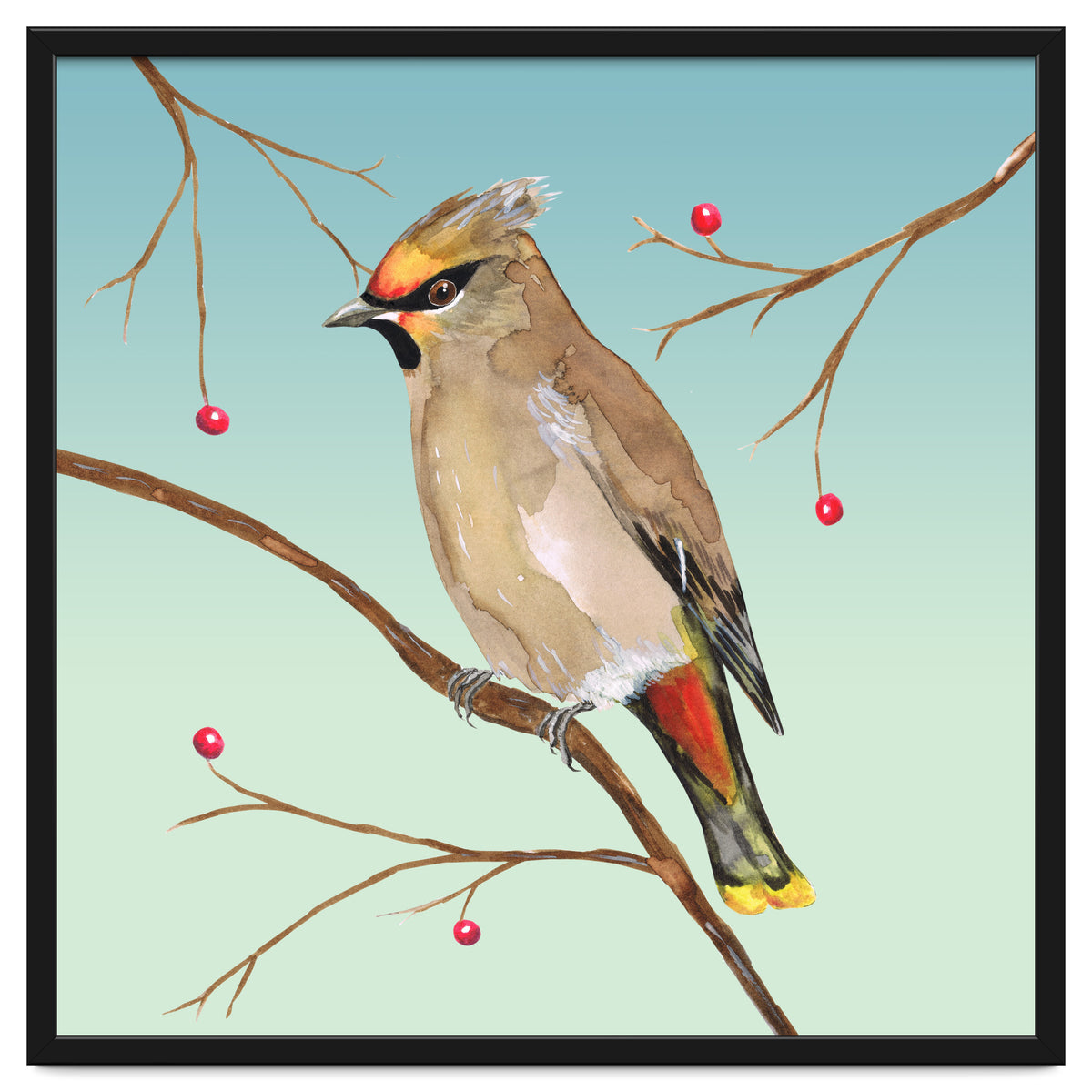 Bohemian waxwing