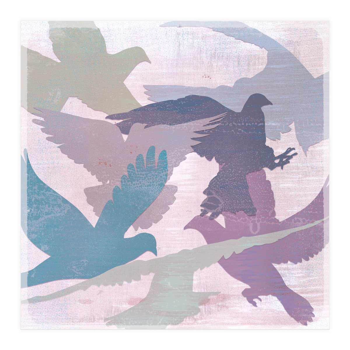 A bevy of doves (Print Only)