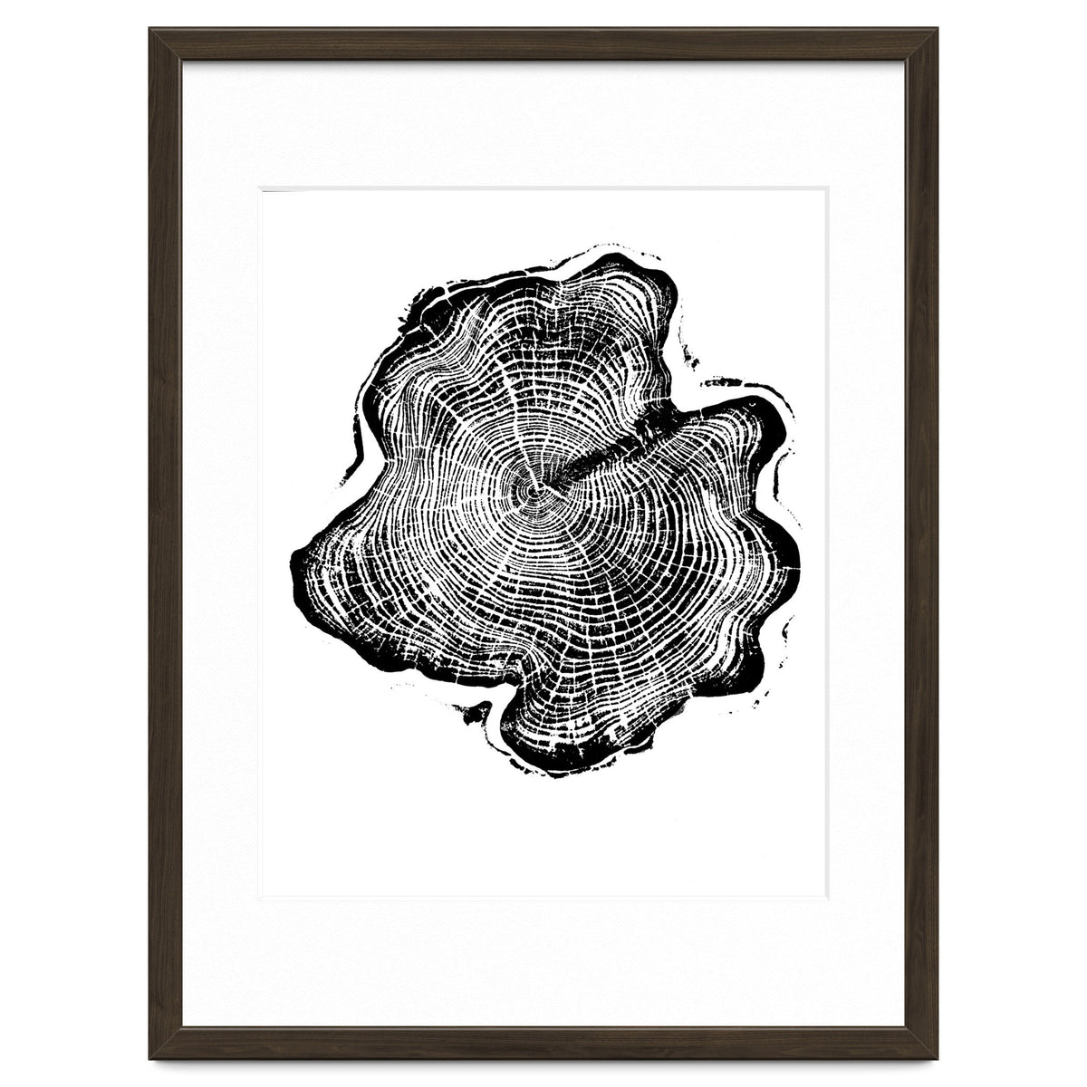 Alaskan Cypress, Tree Ring Art Print, Woodblock