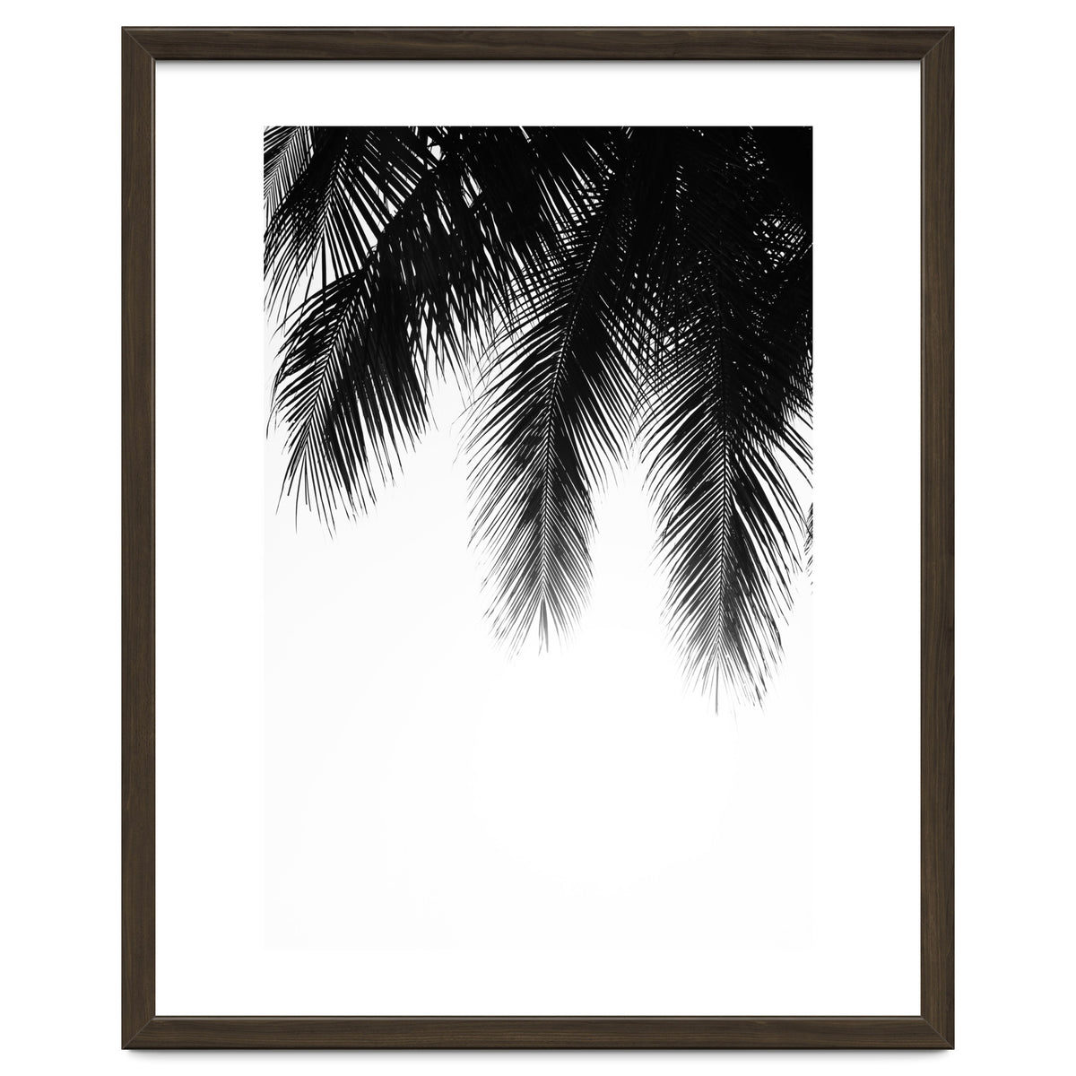 Palm leaves