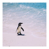 Beach (Print Only) thumbnail